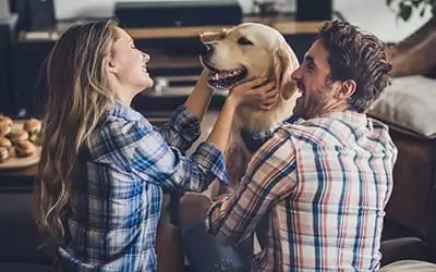 couple playing with dog